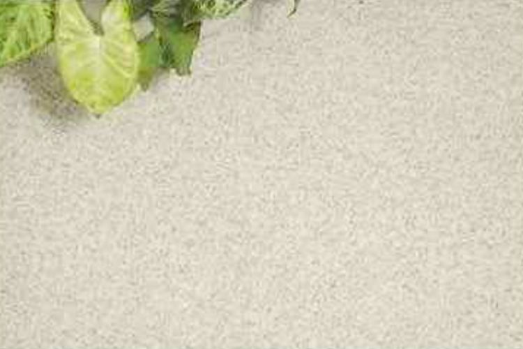 シティタワー西梅田の楽乾フロア